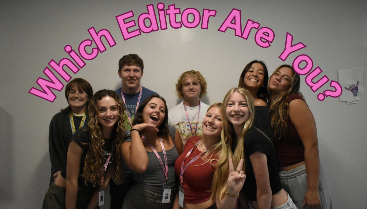 Which Editor Are You?